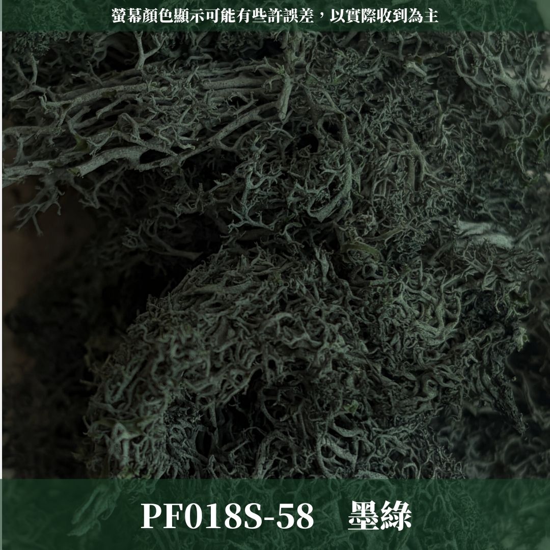 PF018S 永生馴鹿苔經濟包｜特級永生水草 微景觀水苔 苔蘚造景 乾燥花 不凋花 永生花藝材料 撲底用草 假草皮