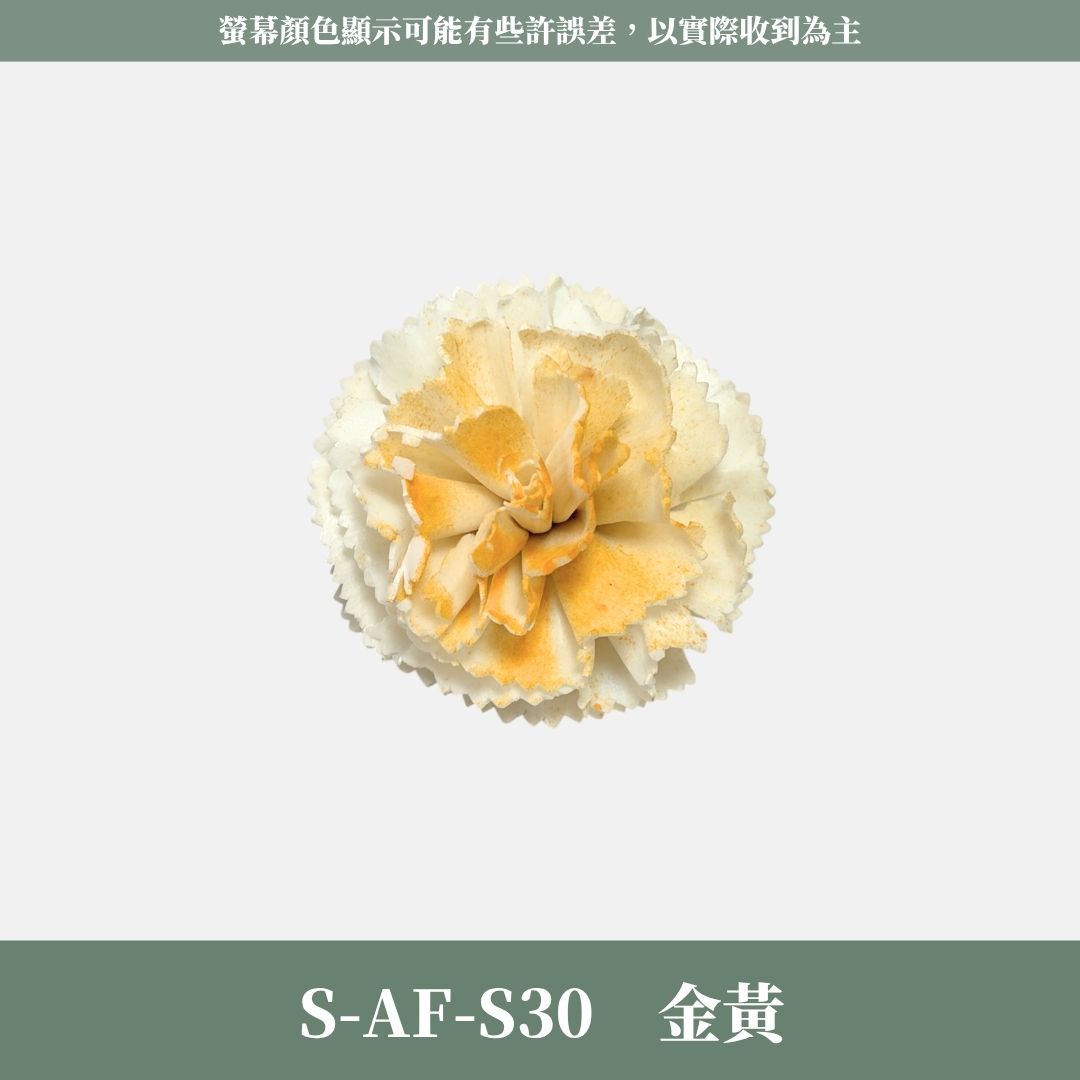 S-AF 6CM康乃馨索拉花花頭｜乾燥花 母親節擴香花 康乃馨花束 母親節花禮 DIY手作 乾燥花花束花禮 乾燥通草花頭