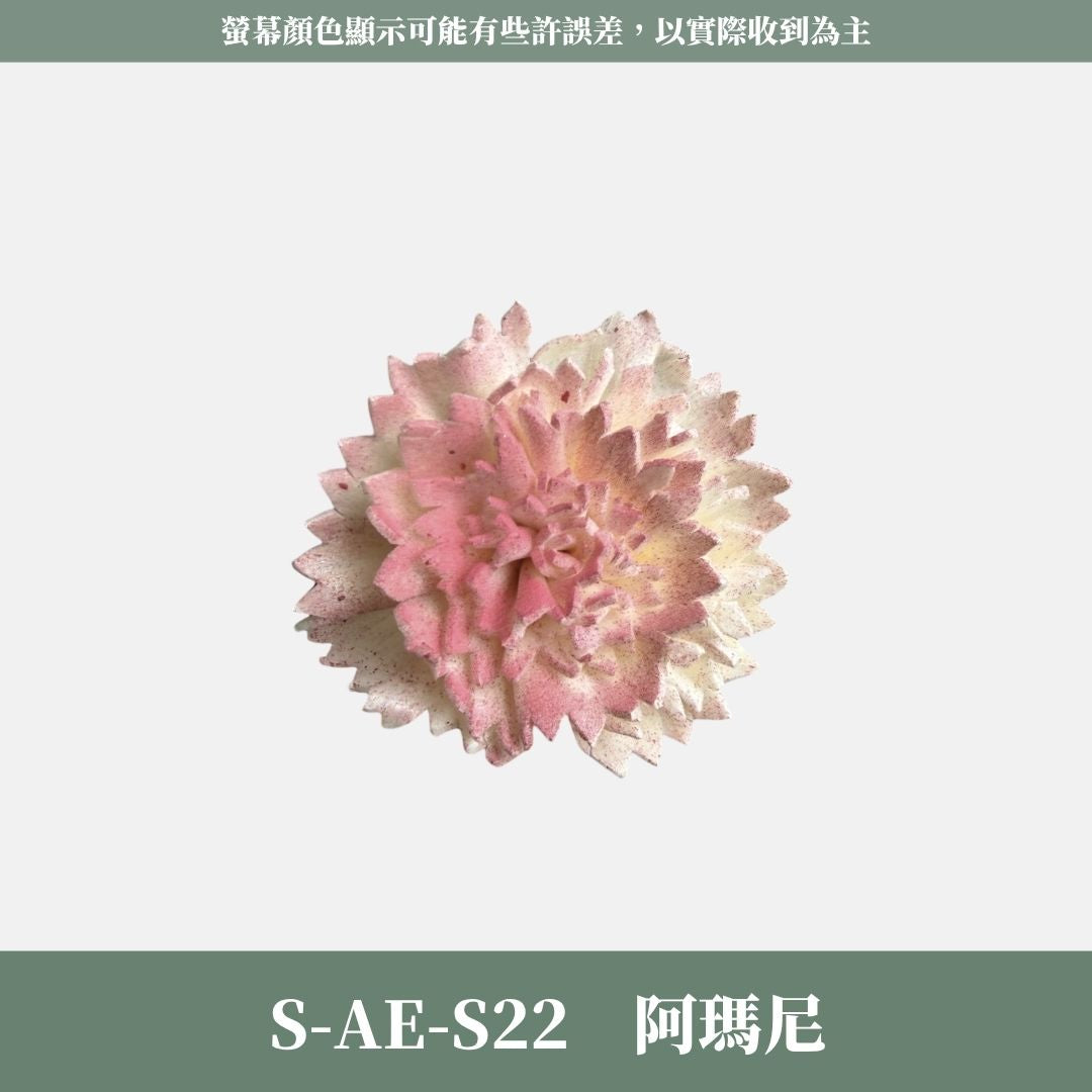 S-AE 4CM康乃馨索拉花花頭｜乾燥花 母親節擴香花 康乃馨花束 母親節花禮 DIY手作 乾燥花花束花禮 乾燥通草花頭
