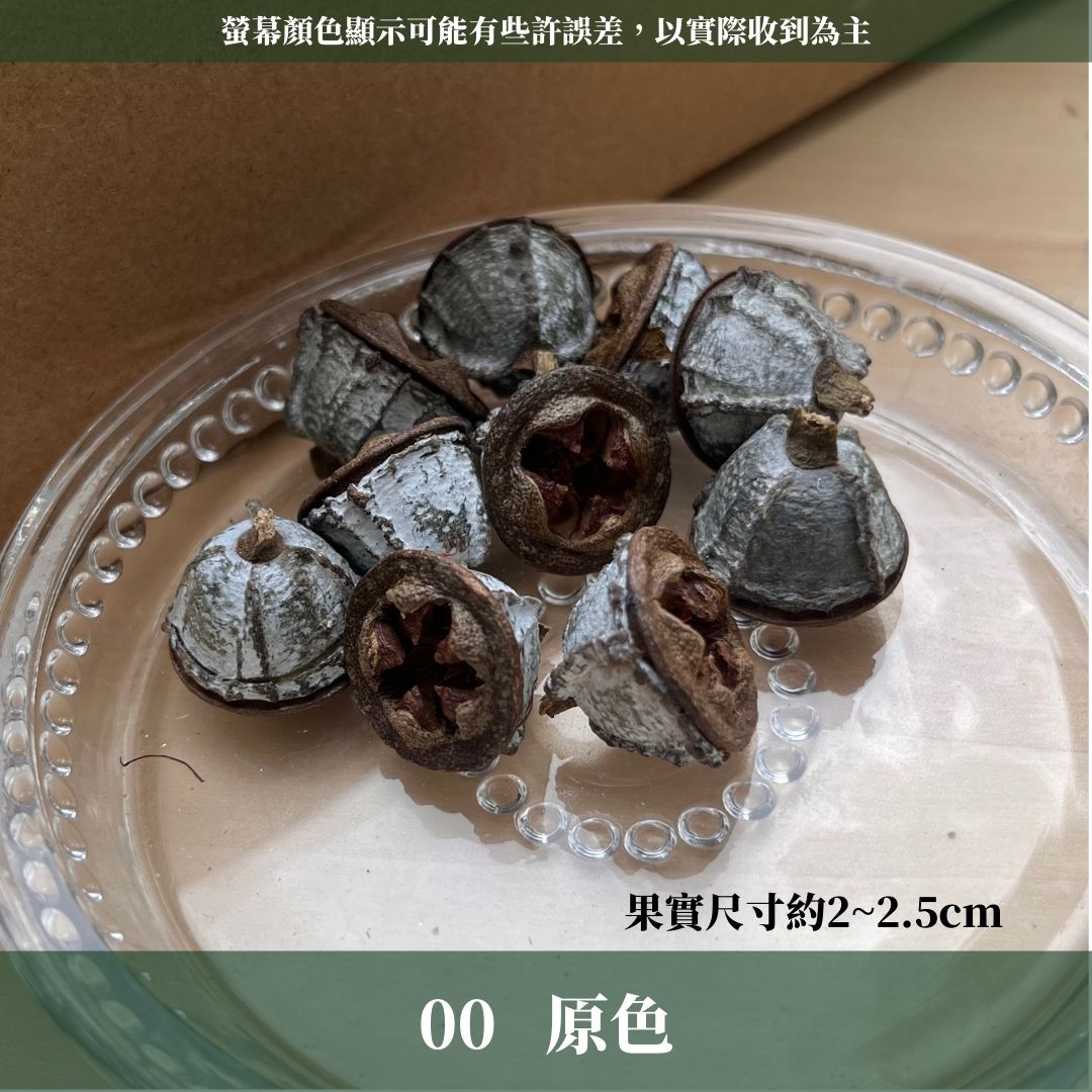 DS004A-S尤加利果(十字)10顆