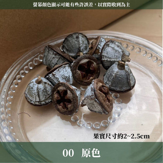 DS004A-M尤加利果(十字)30顆