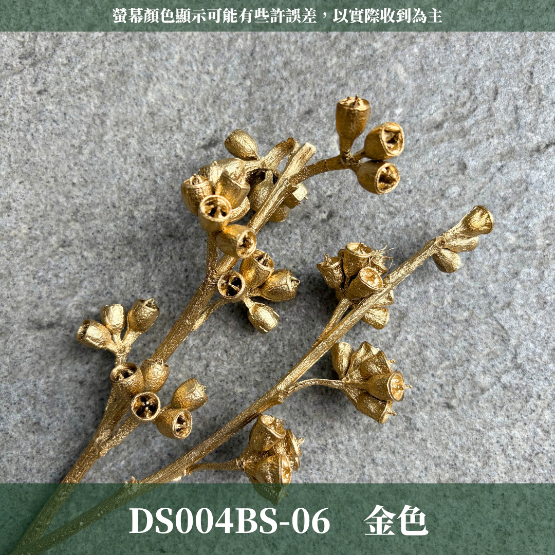 DS004BS 尤加利殭屍果經濟包｜尤加利桉樹果 琥珀果 乾燥果實 手工花材 聖誕節花圈 聖誕花藝 原色金色銀色果實
