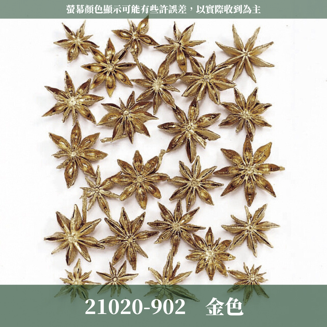 21020 原裝日本八角｜銀色八角 金色八角 鉑金八角 乾燥八角 日本大地農園 進口花材 日本乾燥花 日本花材 スターアニス シルバー プラチナ ゴールド 21020-902 21020-912 21020-932 大茴香 八角粒 大紅八角 大茴 八角花 聖誕花圈材料 花藝果實材料 果實 乾燥果實