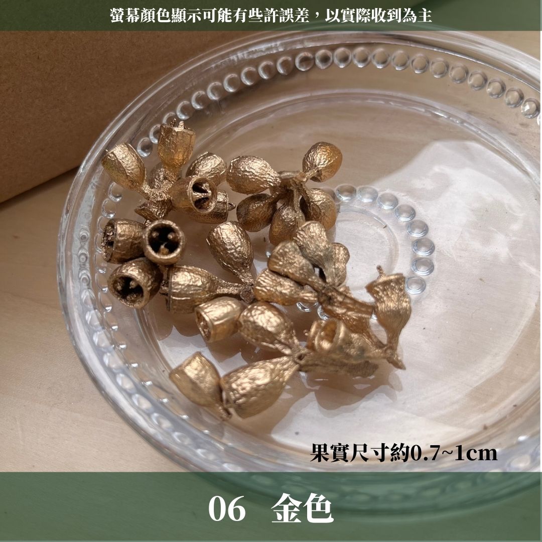 DS004B-M尤加利果(殭屍果) 30顆 果實