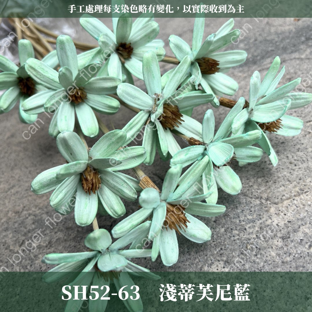 SH52 瓜子花 單朵 小份量  台灣現貨