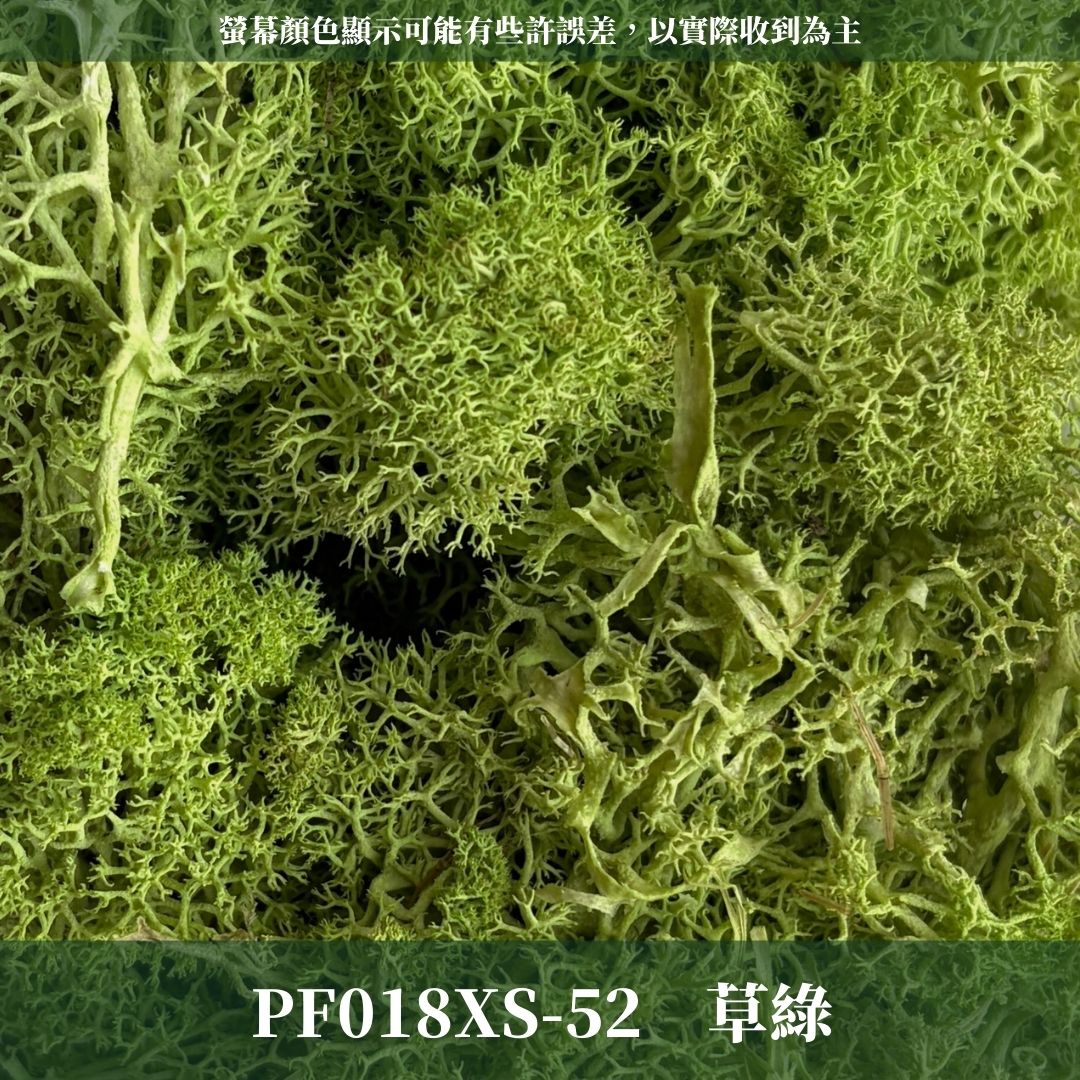 PF018-XS 永生馴鹿苔補充包｜特級永生水草 微景觀水苔 苔蘚造景 乾燥花 不凋花 永生花藝材料 撲底用草 假草皮