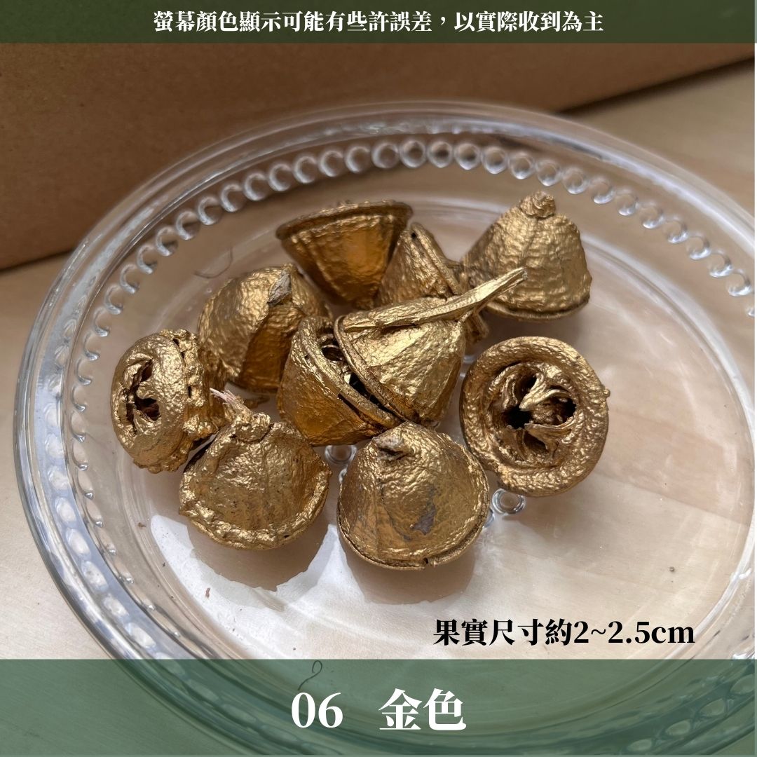 DS004A-S尤加利果(十字)10顆