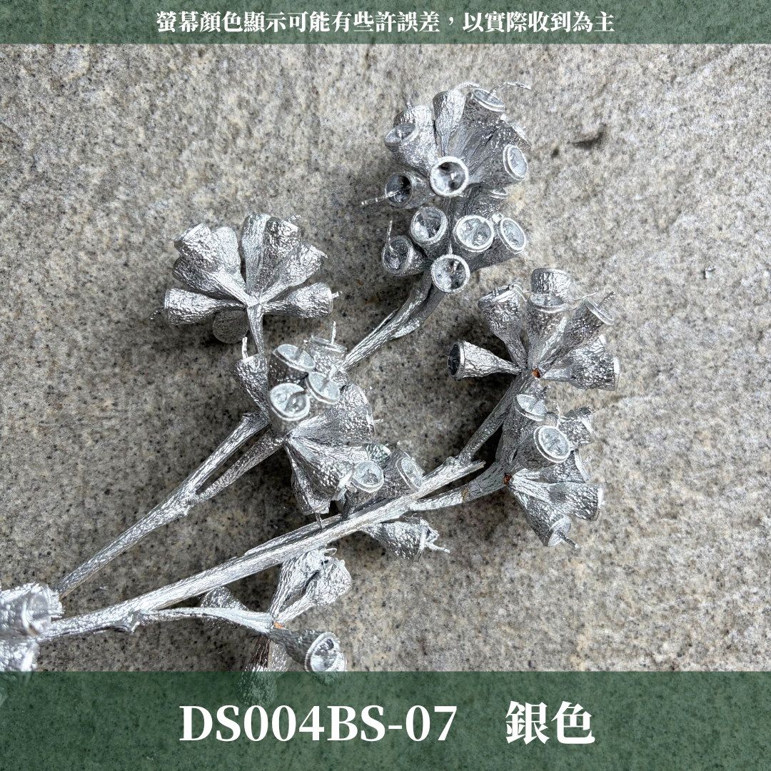 DS004BS 尤加利殭屍果經濟包｜尤加利桉樹果 琥珀果 乾燥果實 手工花材 聖誕節花圈 聖誕花藝 原色金色銀色果實