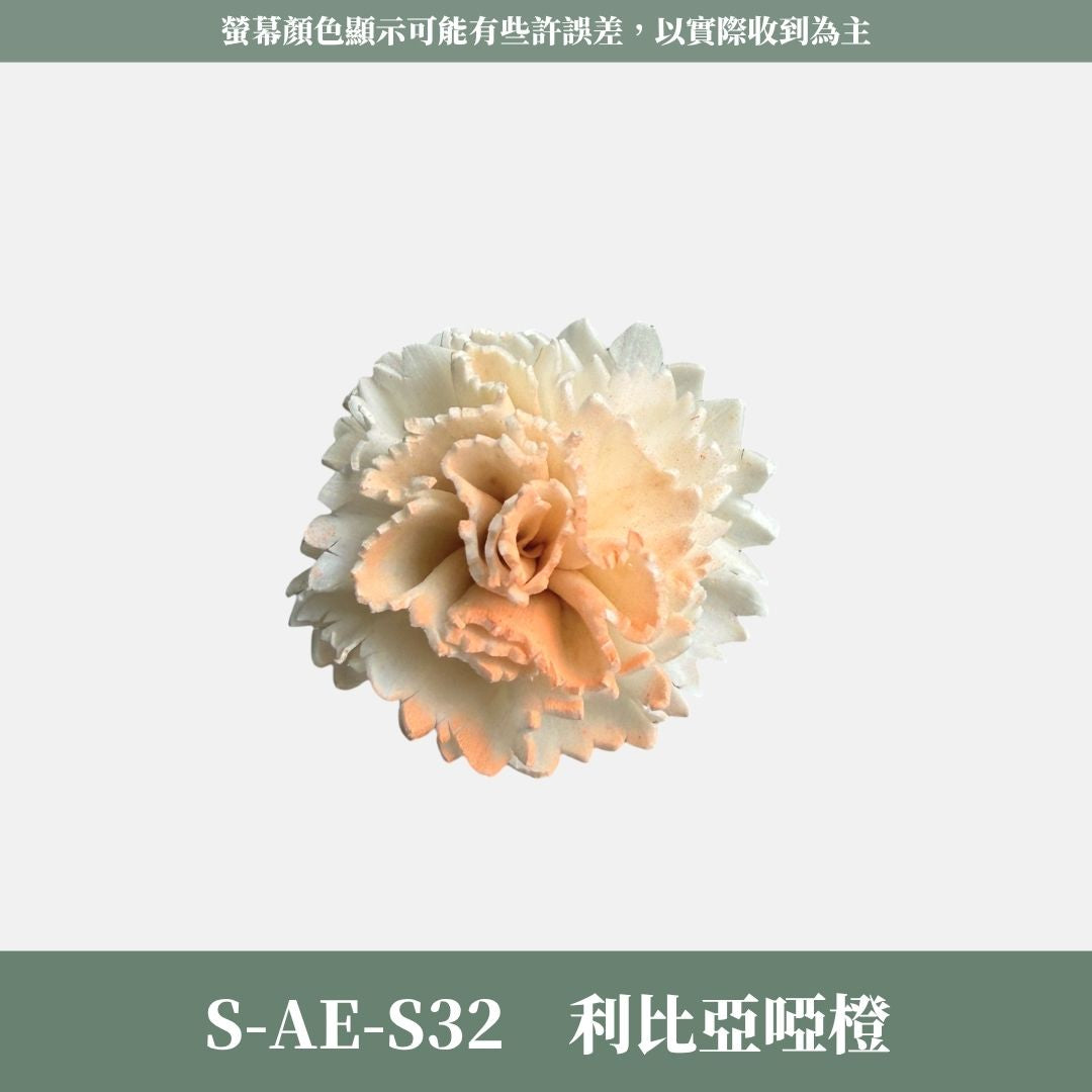 S-AE 4CM康乃馨索拉花花頭｜乾燥花 母親節擴香花 康乃馨花束 母親節花禮 DIY手作 乾燥花花束花禮 乾燥通草花頭