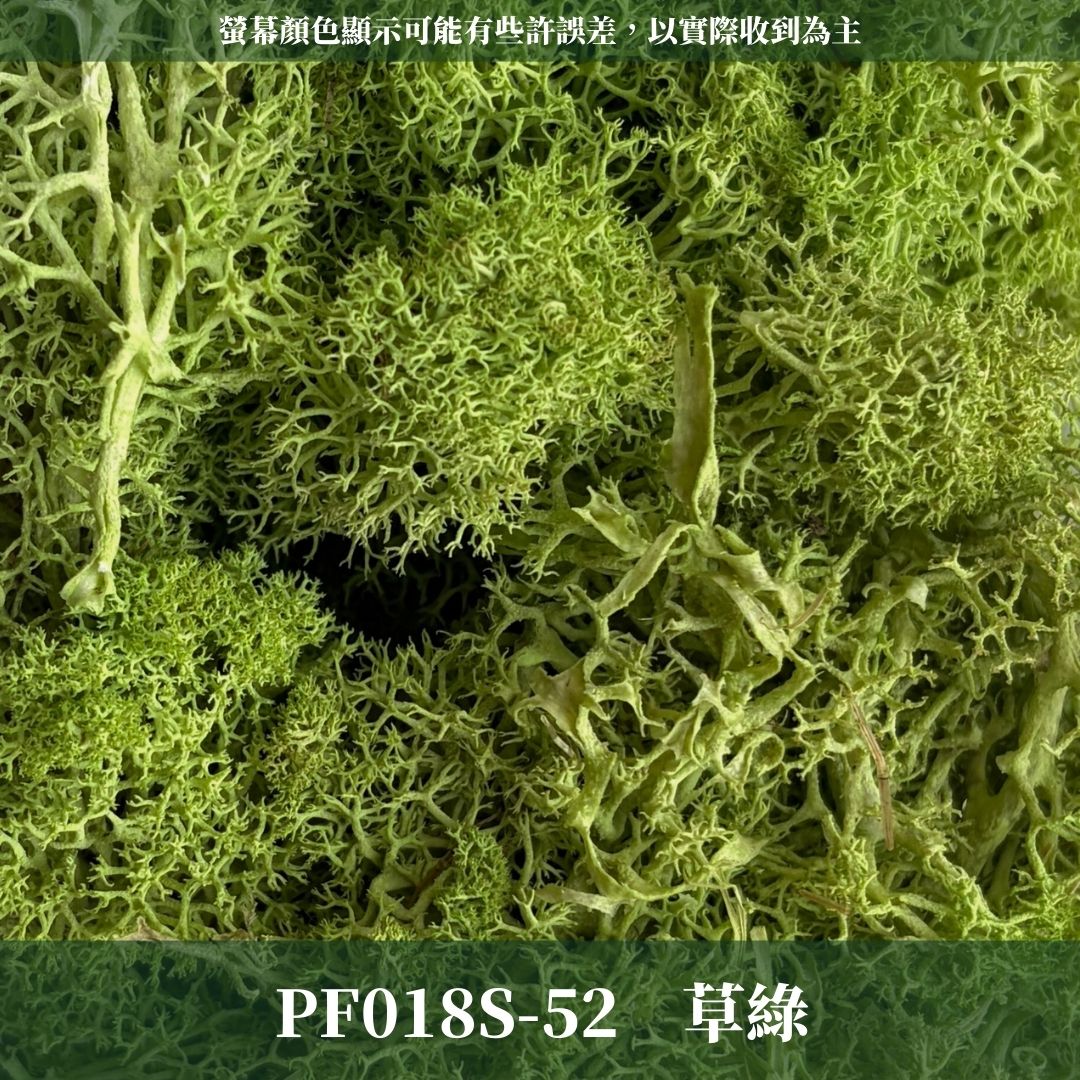 PF018S 永生馴鹿苔經濟包｜特級永生水草 微景觀水苔 苔蘚造景 乾燥花 不凋花 永生花藝材料 撲底用草 假草皮