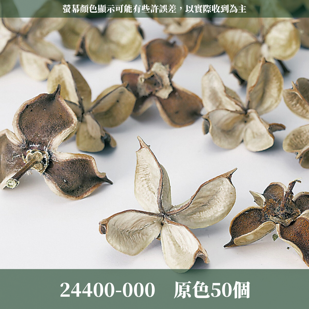 24400 原裝日本棉花殼(30/50個) ｜日本大地 乾燥花材 花圈材料 24400-902 24400-000