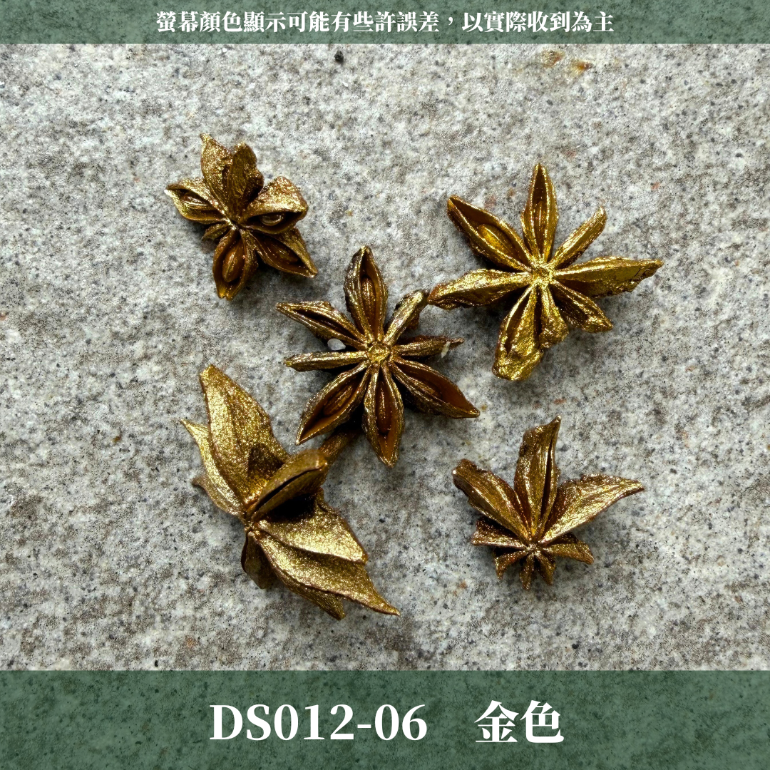 DS012 原裝八角｜挑戰蝦皮最便宜 大茴香 乾燥八角 八角粒 大紅八角 大茴 八角花 金色八角 銀色八角 聖誕花圈材料 花藝果實材料 果實 乾燥果實 出清