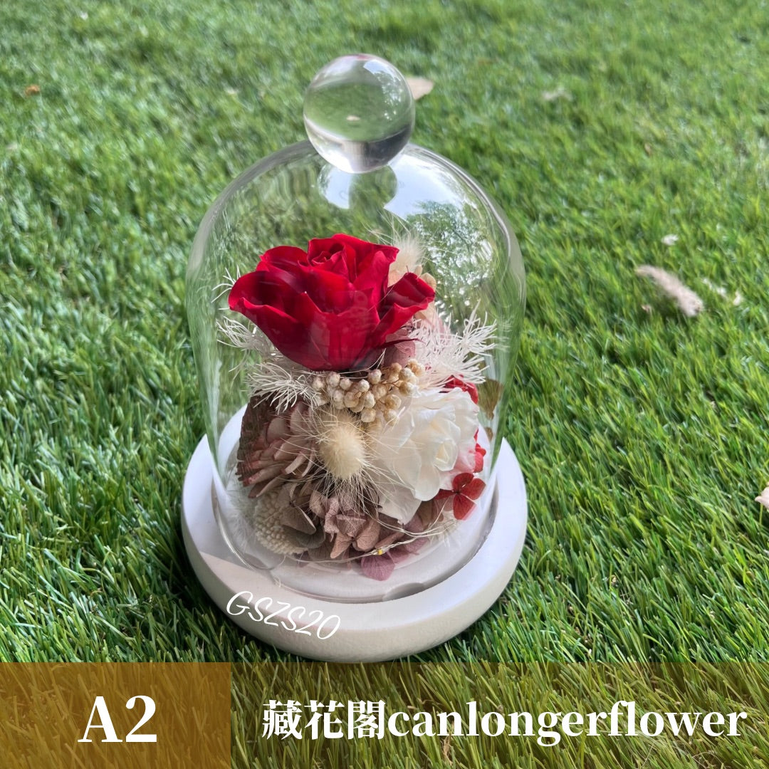 GSZS20 紅色系永生罩盅S