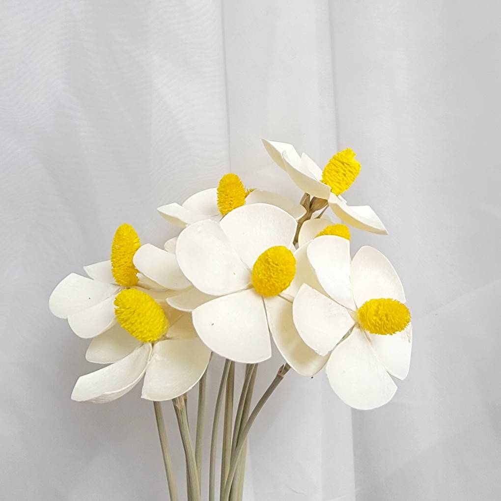 ✿ 台灣現貨 ✿ SH50 紫羅蘭 原裝 十支裝  手工花