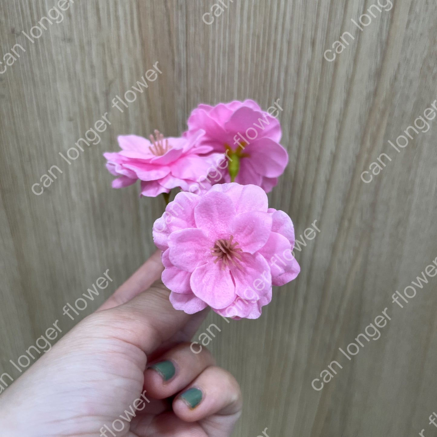 ✿ 台灣現貨 ✿ AS005 櫻花單朵 香皂花