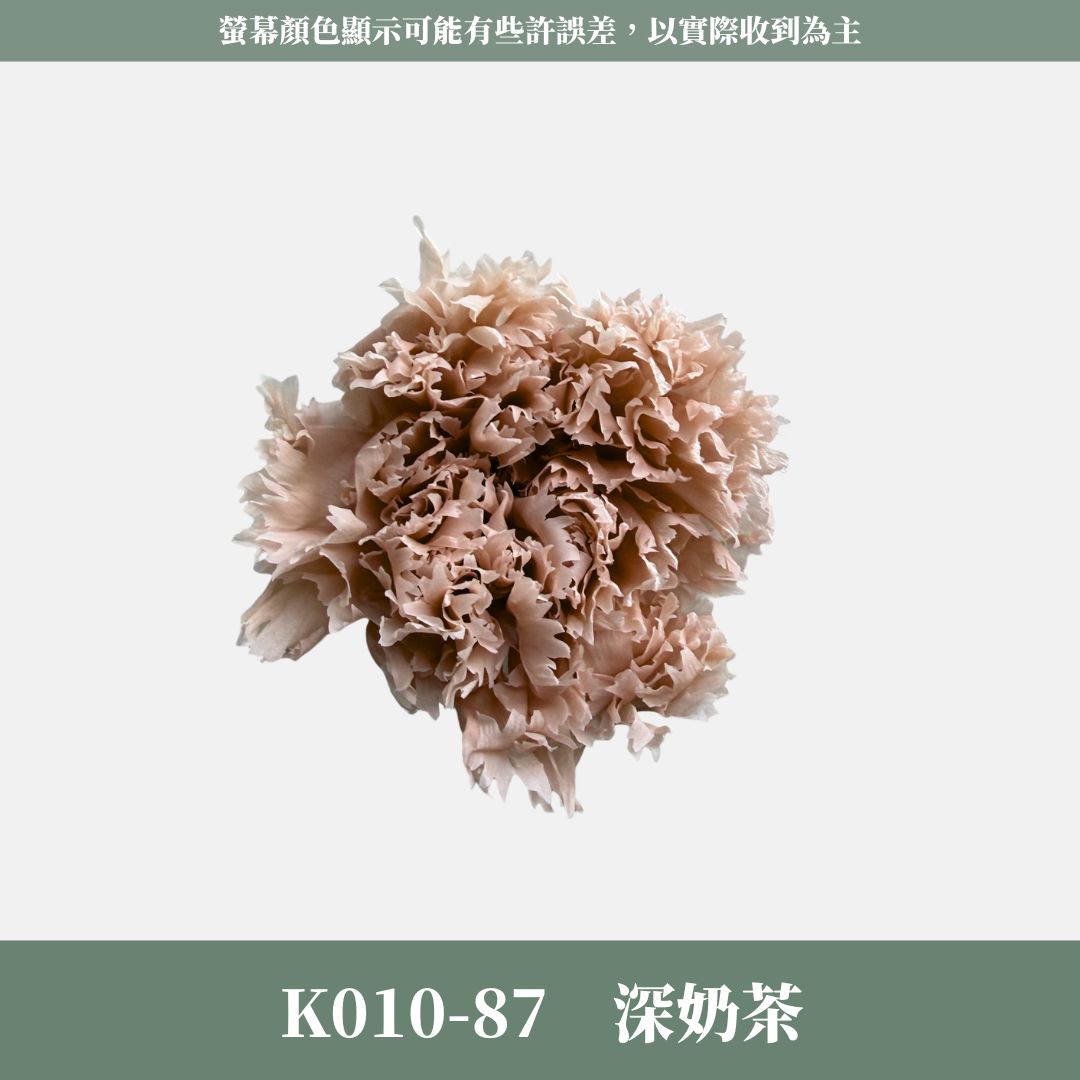 K10s A級康乃馨花頭｜全網最便宜，虧本賣｜10朵只要285！進口永生約4~5cm康乃馨 康乃馨母親節花束材料 不凋花