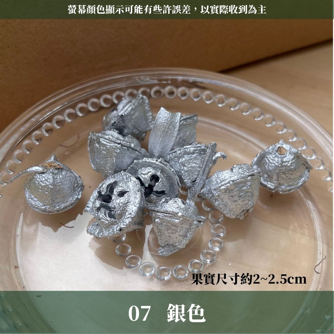 DS004A-S尤加利果(十字)10顆