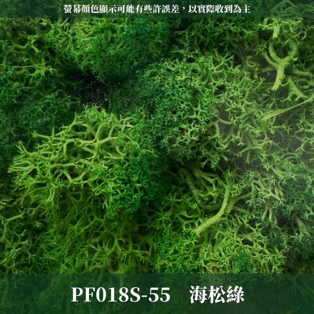 PF018S 永生馴鹿苔經濟包｜特級永生水草 微景觀水苔 苔蘚造景 乾燥花 不凋花 永生花藝材料 撲底用草 假草皮