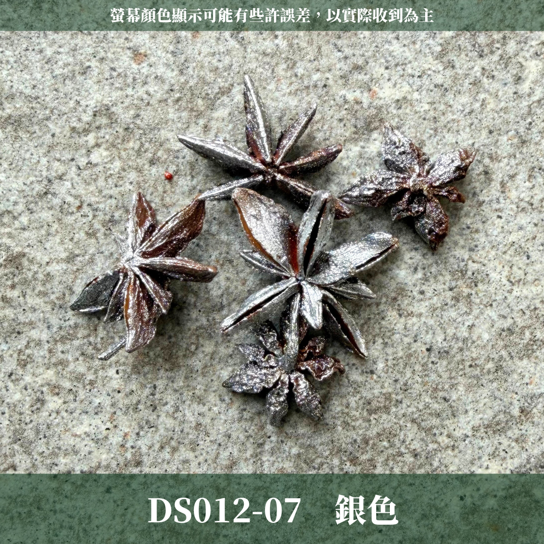 DS012 原裝八角｜挑戰蝦皮最便宜 大茴香 乾燥八角 八角粒 大紅八角 大茴 八角花 金色八角 銀色八角 聖誕花圈材料 花藝果實材料 果實 乾燥果實 出清