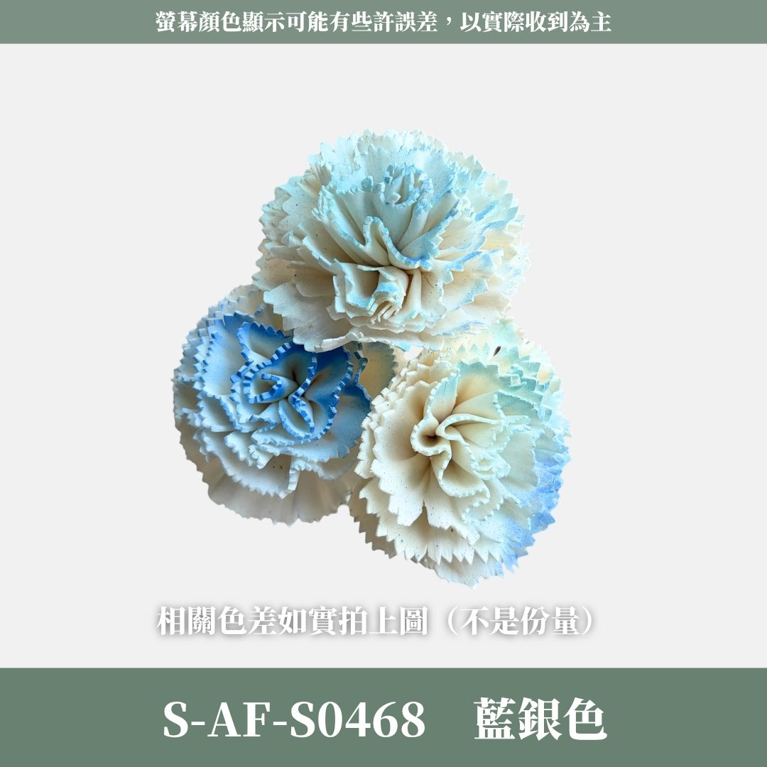 S-AF 6CM康乃馨索拉花花頭｜乾燥花 母親節擴香花 康乃馨花束 母親節花禮 DIY手作 乾燥花花束花禮 乾燥通草花頭