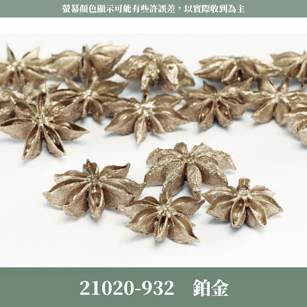 21020 原裝日本八角｜銀色八角 金色八角 鉑金八角 乾燥八角 日本大地農園 進口花材 日本乾燥花 日本花材 スターアニス シルバー プラチナ ゴールド 21020-902 21020-912 21020-932 大茴香 八角粒 大紅八角 大茴 八角花 聖誕花圈材料 花藝果實材料 果實 乾燥果實