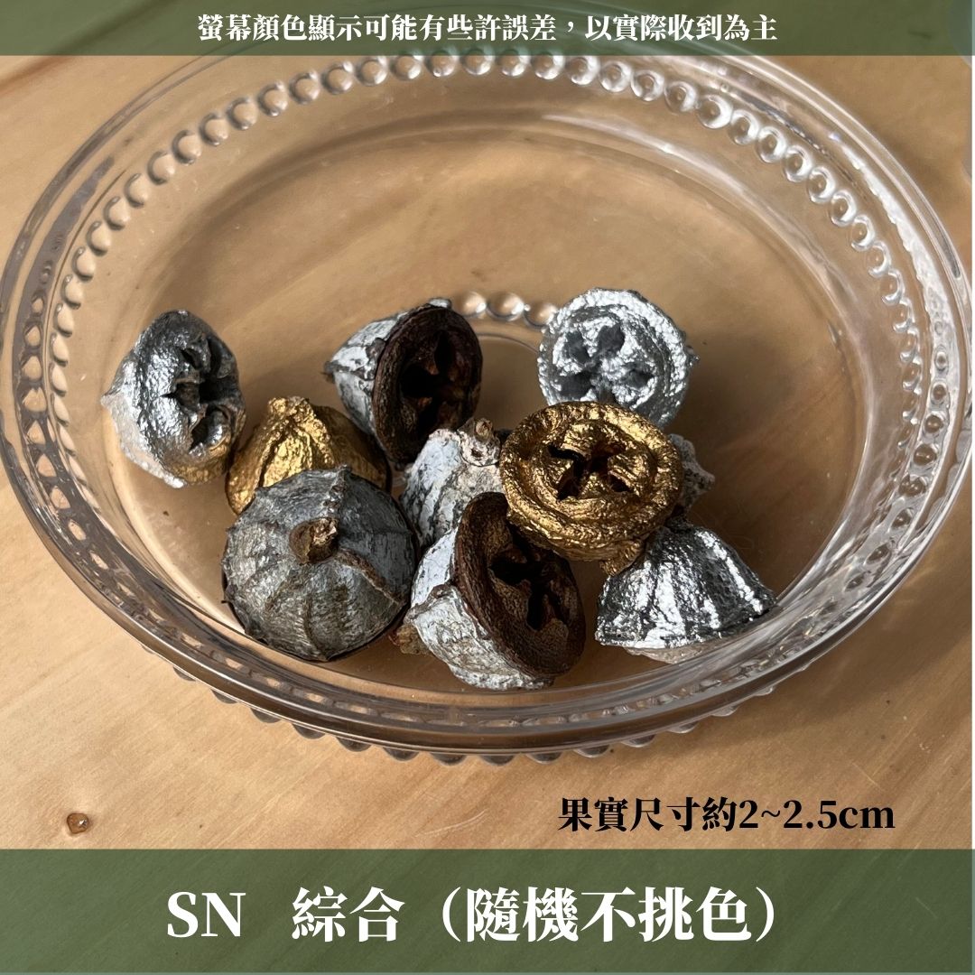 DS004A-S尤加利果(十字)10顆