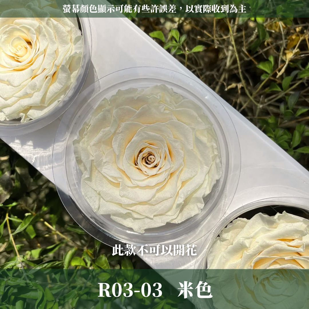 R03s 永生7~8 CM拼接玫瑰｜買三顆省246元｜永生巨型玫瑰 不凋玫瑰花頭 花束花材 永生花 乾燥花 拚色混色花朵