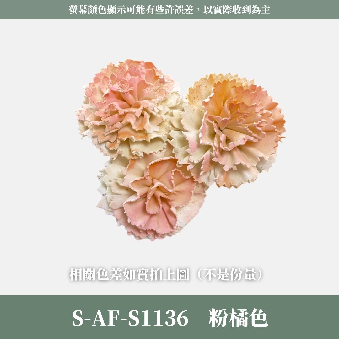 S-AF 6CM康乃馨索拉花花頭｜乾燥花 母親節擴香花 康乃馨花束 母親節花禮 DIY手作 乾燥花花束花禮 乾燥通草花頭