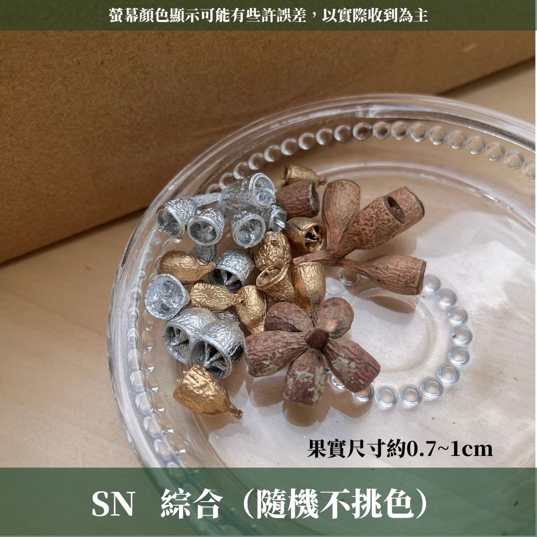 DS004B-M尤加利果(殭屍果) 30顆 果實