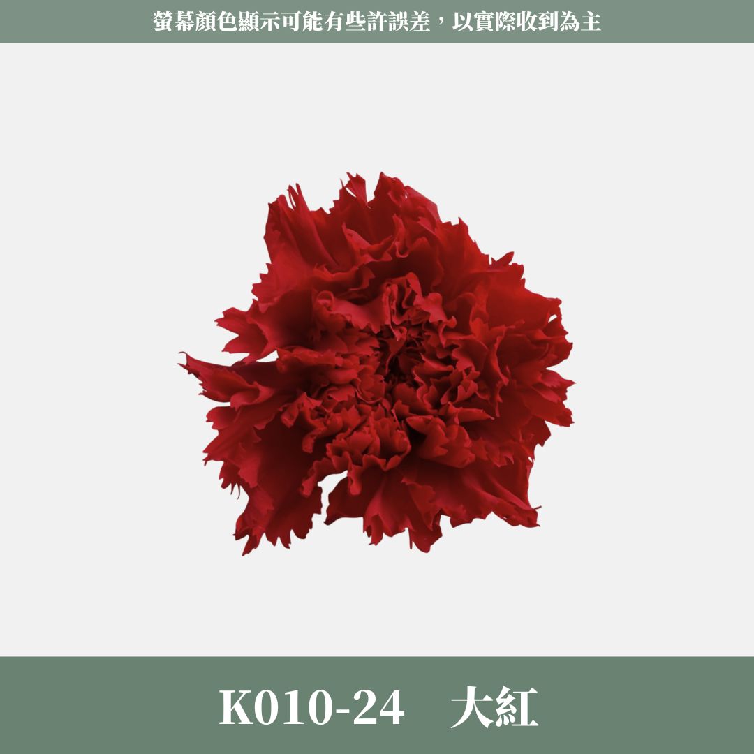 K10 原裝A級康乃馨｜全網最便宜，原價450虧本賣！進口永生約4~5cm康乃馨 康乃馨母親節花束材料 不凋花