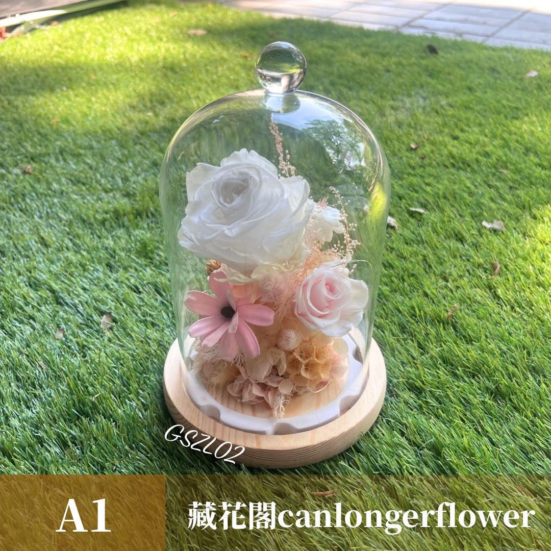 GSZL02 白色系永生罩盅L