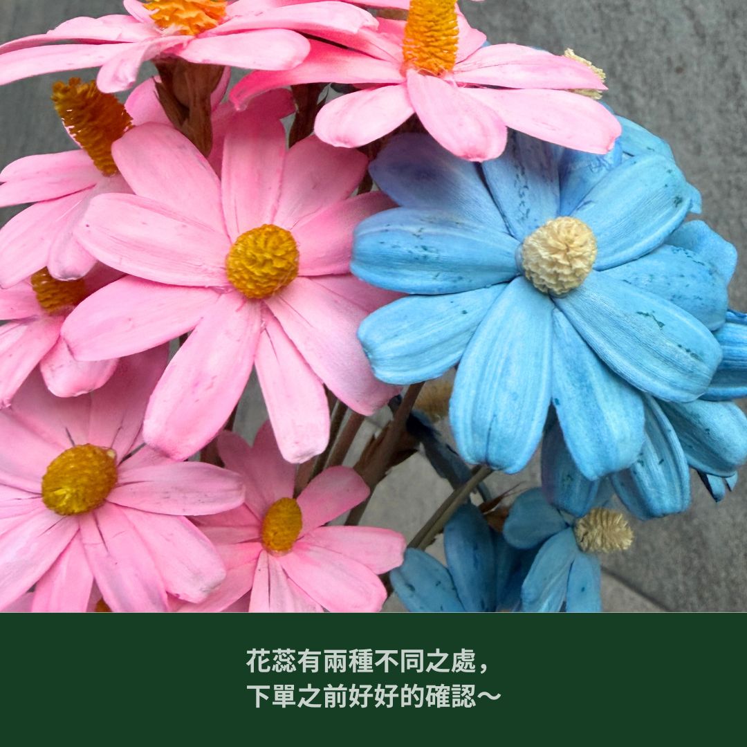 SH54 原裝木片瑪格麗特｜乾燥花批發 瓜子花 小雛菊 不凋花 木春菊 花藝設計 拍照道具 手工花 DIY 花藝 插花