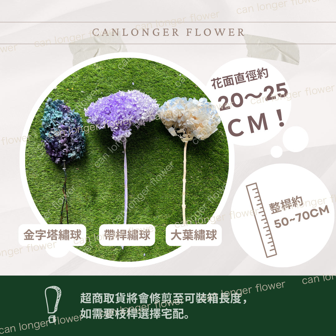 ✿ 台灣現貨 ✿ PF005C金字塔繡球 單隻 塔繡球 木繡球 永生 漸變 原裝