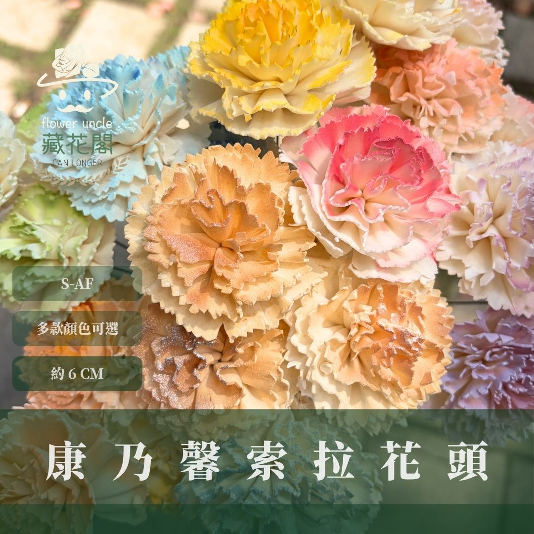 S-AF 6CM康乃馨索拉花花頭｜乾燥花 母親節擴香花 康乃馨花束 母親節花禮 DIY手作 乾燥花花束花禮 乾燥通草花頭