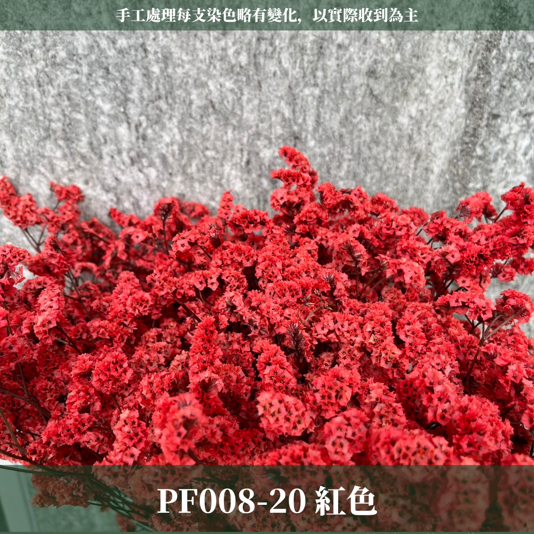 PF008 原裝水晶花｜現貨