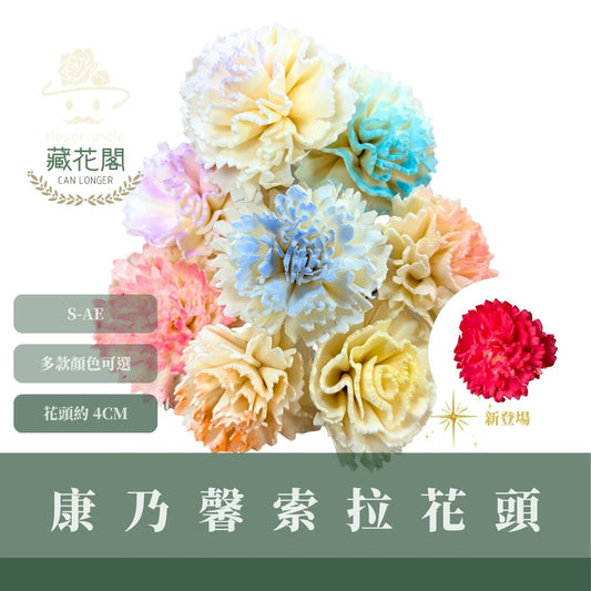 S-AE 4CM康乃馨索拉花花頭｜乾燥花 母親節擴香花 康乃馨花束 母親節花禮 DIY手作 乾燥花花束花禮 乾燥通草花頭