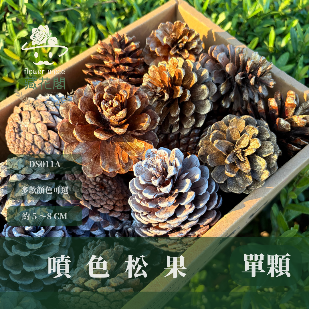 DS011A 單入噴色松果｜DS011A 單入噴色松果｜金色松果 銀色松果 下雪松果 乾燥天然松果 聖誕裝飾 花圈DIY 花藝花材 森林風佈置