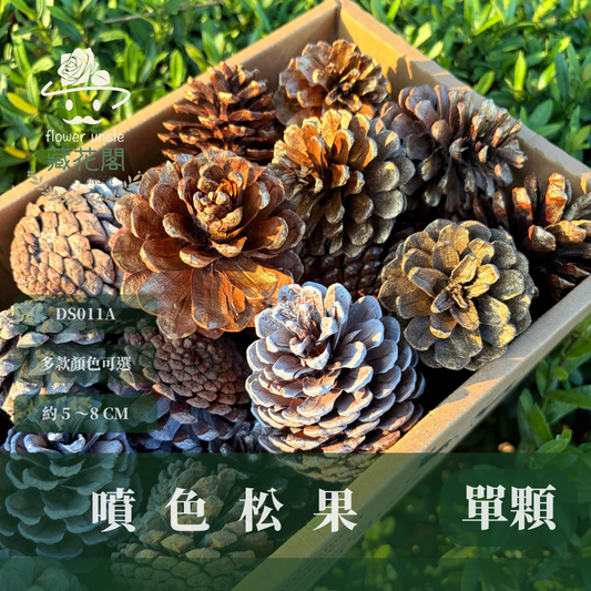 DS011A 單入噴色松果｜DS011A 單入噴色松果｜金色松果 銀色松果 下雪松果 乾燥天然松果 聖誕裝飾 花圈DIY 花藝花材 森林風佈置