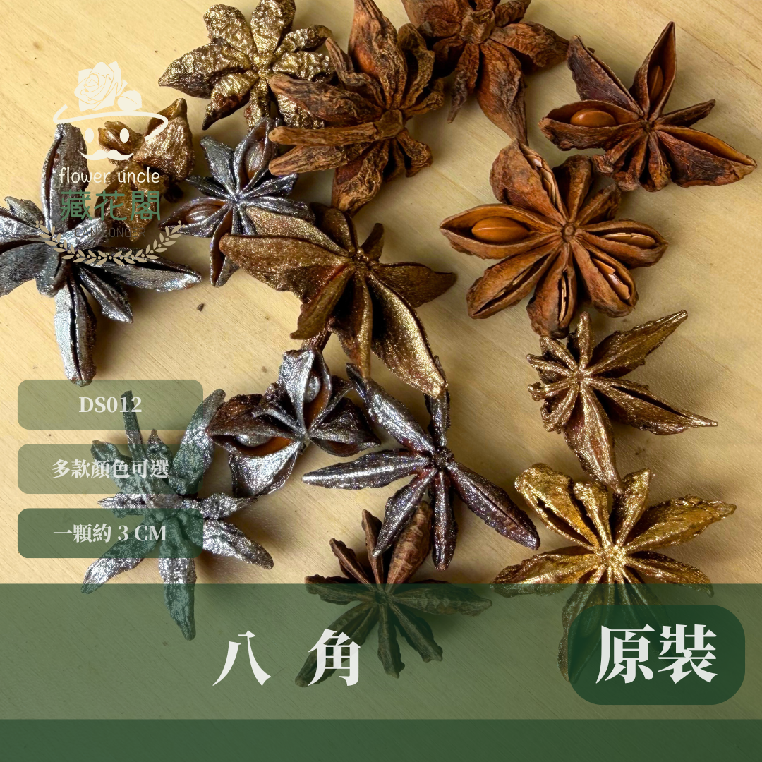 DS012 原裝八角｜挑戰蝦皮最便宜 大茴香 乾燥八角 八角粒 大紅八角 大茴 八角花 金色八角 銀色八角 聖誕花圈材料 花藝果實材料 果實 乾燥果實 出清