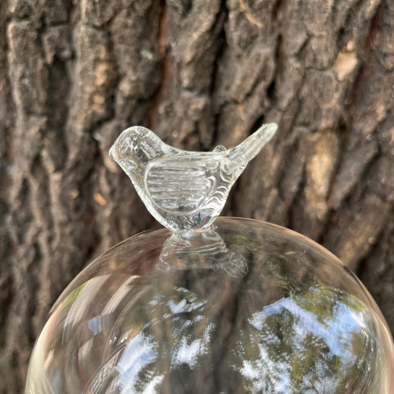 ✿ 台灣現貨 ✿ CG-L 罩盅L