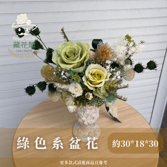 Gift-F057 綠色系永生盆花 陶瓷高腳 綠色 盆花 開幕 送禮 慶賀