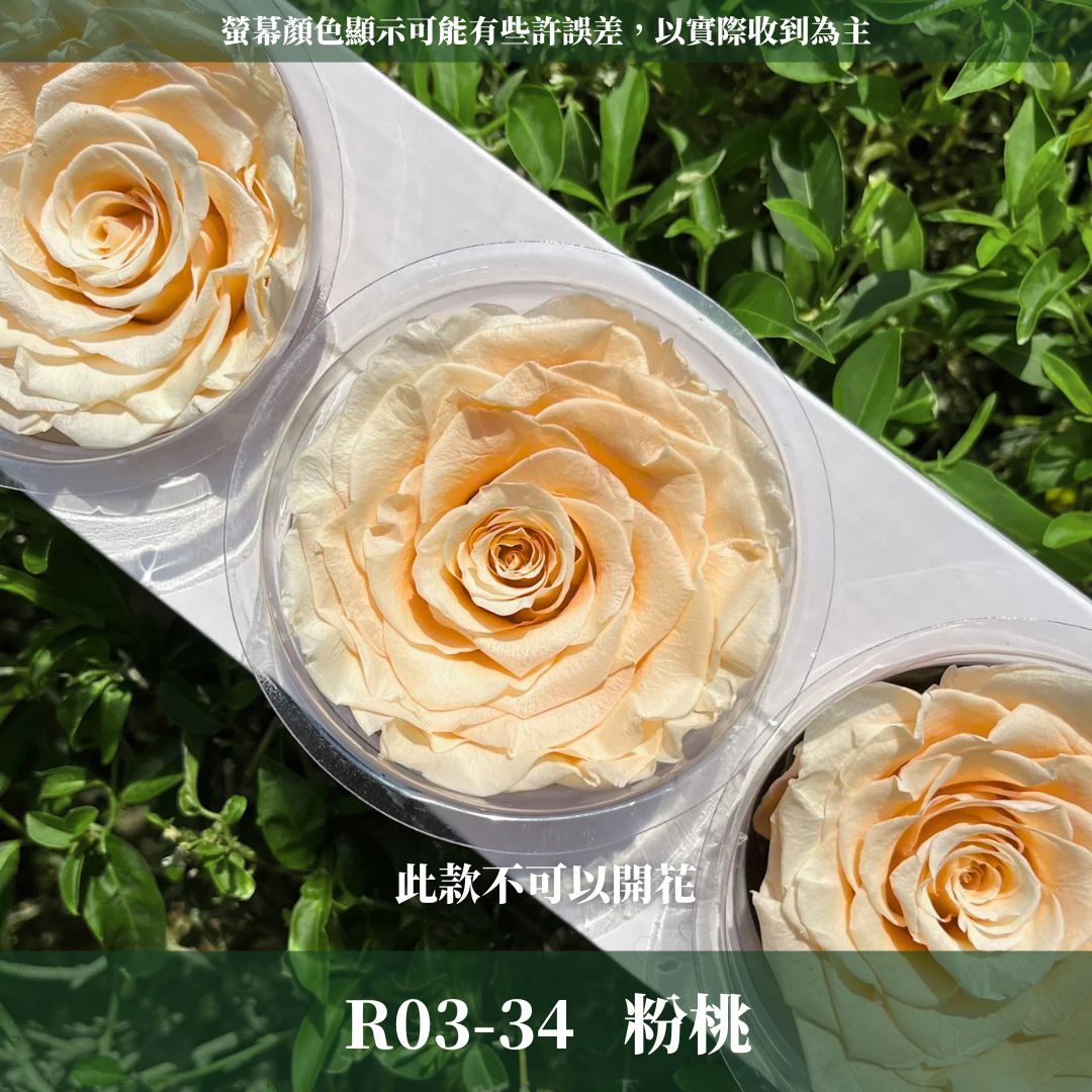R03s 永生7~8 CM拼接玫瑰｜買三顆省246元｜永生巨型玫瑰 不凋玫瑰花頭 花束花材 永生花 乾燥花 拚色混色花朵