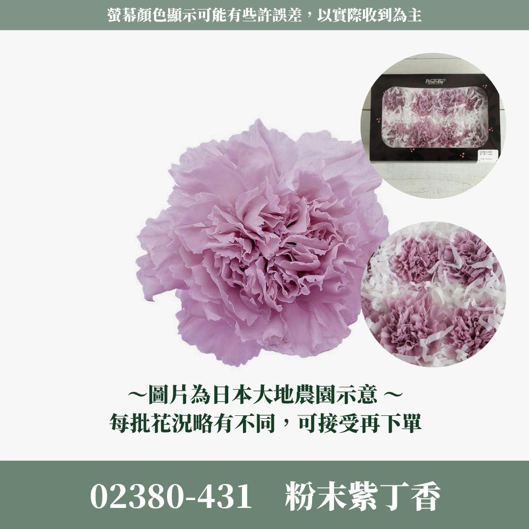 02380s 日本大地農園康乃馨｜買8朵只要1044元｜日本進口 母親節永生康乃馨 永生花 不凋花 母親節花束手作材料