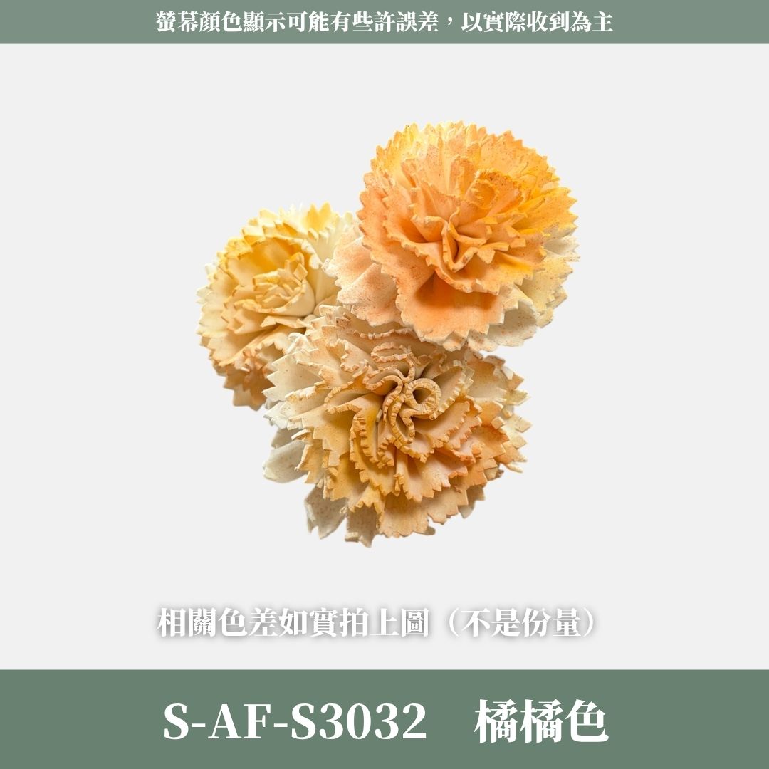 S-AF 6CM康乃馨索拉花花頭｜乾燥花 母親節擴香花 康乃馨花束 母親節花禮 DIY手作 乾燥花花束花禮 乾燥通草花頭