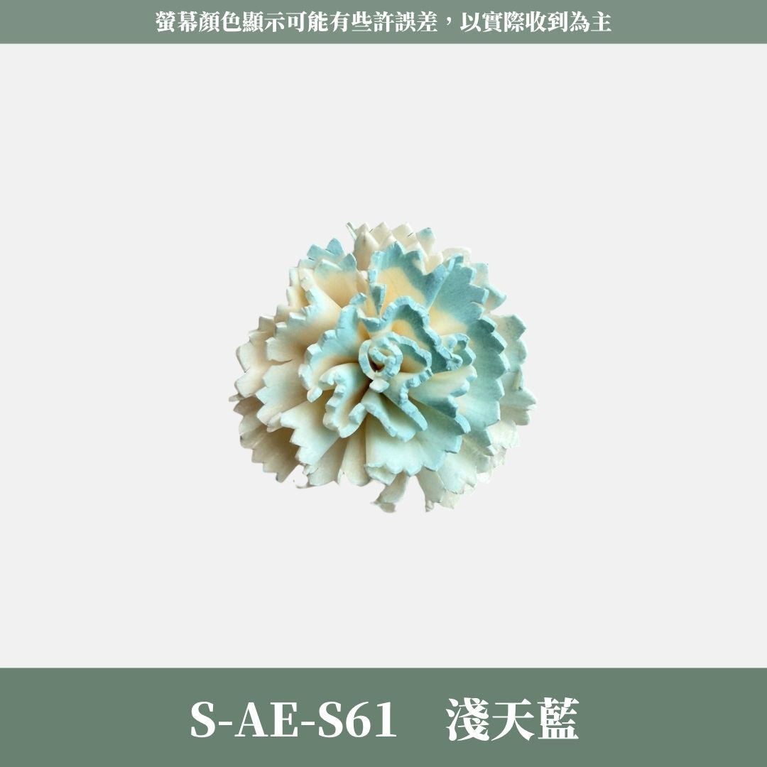 S-AE 4CM康乃馨索拉花花頭｜乾燥花 母親節擴香花 康乃馨花束 母親節花禮 DIY手作 乾燥花花束花禮 乾燥通草花頭