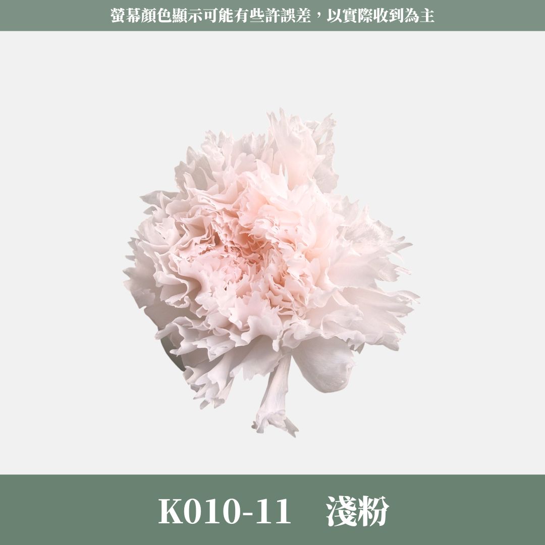 K10 原裝A級康乃馨｜全網最便宜，原價450虧本賣！進口永生約4~5cm康乃馨 康乃馨母親節花束材料 不凋花