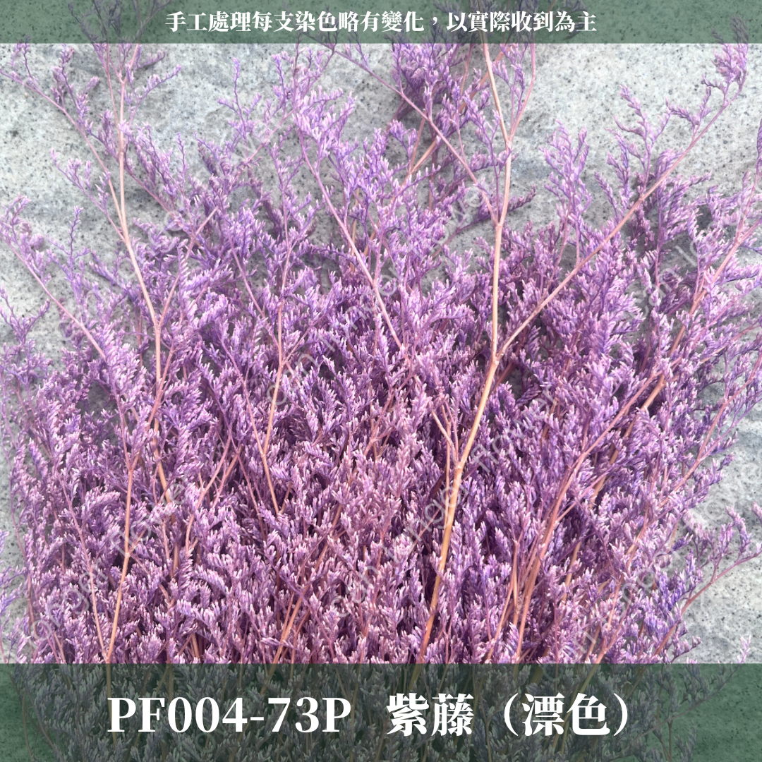 PF004S 卡斯比亞/情人草 10克 永生花 吸色/漂色 小份量