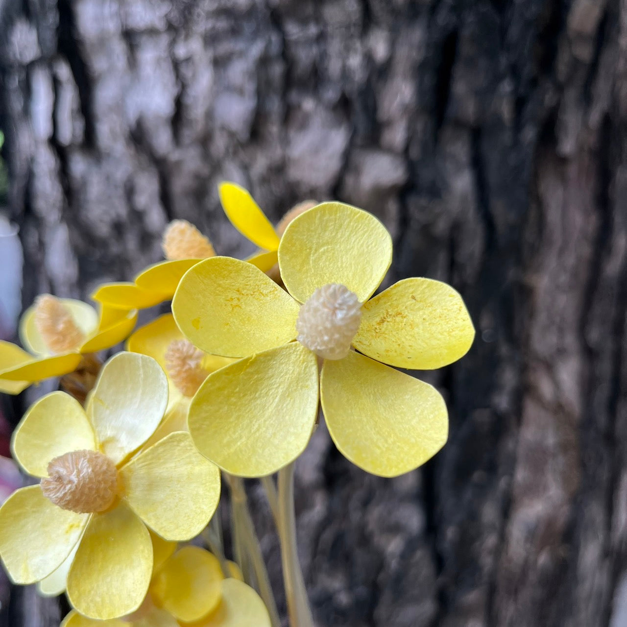✿ 台灣現貨 ✿ SH50 紫羅蘭 原裝 十支裝  手工花