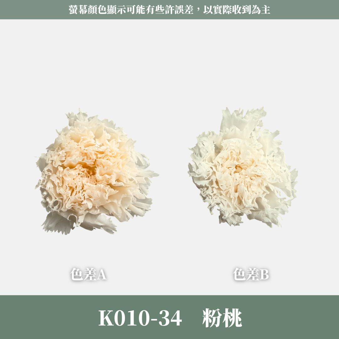 K10 原裝A級康乃馨｜全網最便宜，原價450虧本賣！進口永生約4~5cm康乃馨 康乃馨母親節花束材料 不凋花