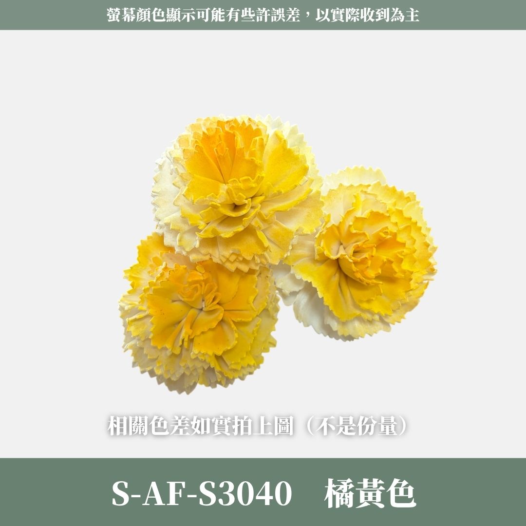 S-AF 6CM康乃馨索拉花花頭｜乾燥花 母親節擴香花 康乃馨花束 母親節花禮 DIY手作 乾燥花花束花禮 乾燥通草花頭